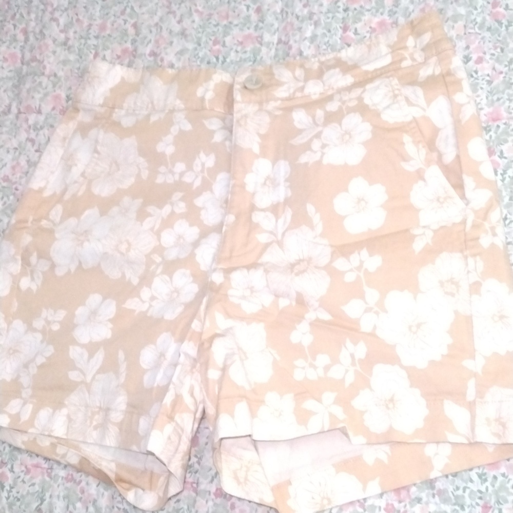 Jach's Girlfriend New York Floral Summer Shorts